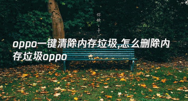 oppo一键清除内存垃圾,怎么删除内存垃圾oppo