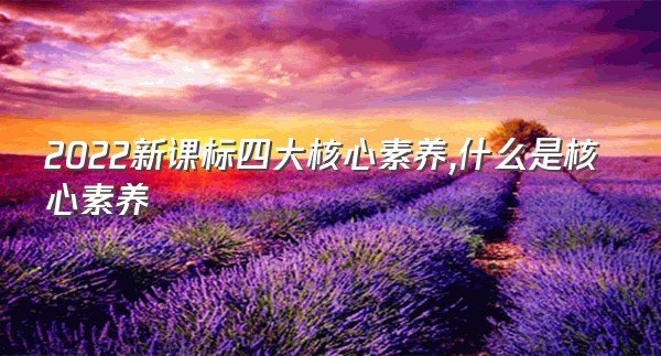 2022新课标四大核心素养,什么是核心素养