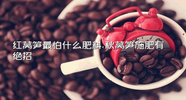 红莴笋最怕什么肥料,秋莴笋施肥有绝招