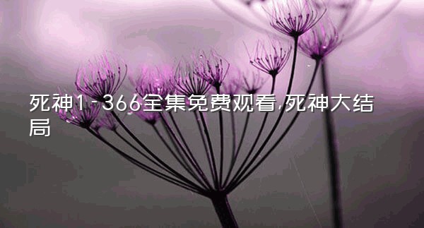 死神1-366全集免费观看,死神大结局