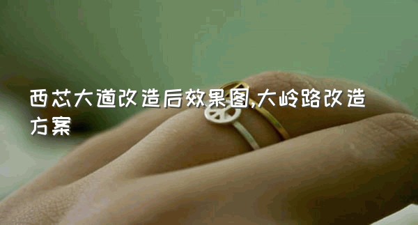 西芯大道改造后效果图,大岭路改造方案