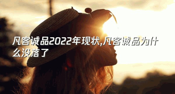 凡客诚品2022年现状,凡客诚品为什么没落了