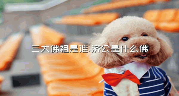 三大佛祖是谁,济公是什么佛