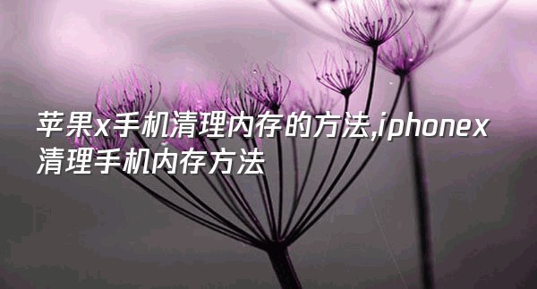 苹果x手机清理内存的方法,iphonex清理手机内存方法