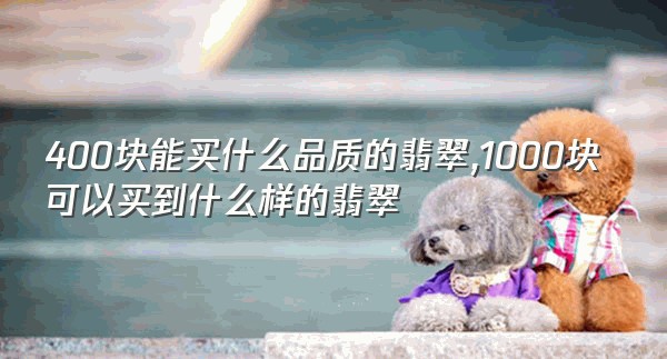 400块能买什么品质的翡翠,1000块可以买到什么样的翡翠