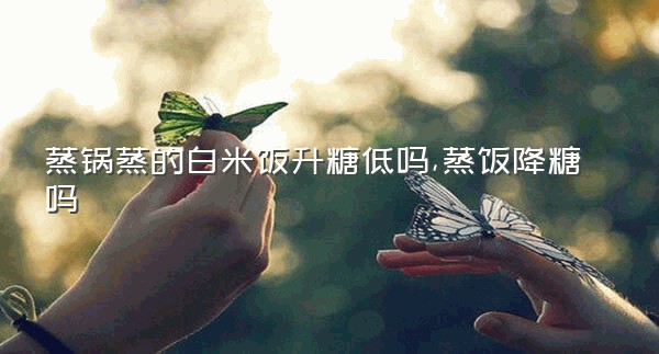 蒸锅蒸的白米饭升糖低吗,蒸饭降糖吗