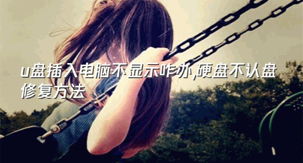 u盘插入电脑不显示咋办,硬盘不认盘修复方法