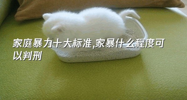 家庭暴力十大标准,家暴什么程度可以判刑