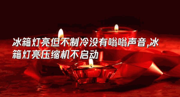 冰箱灯亮但不制冷没有嗡嗡声音,冰箱灯亮压缩机不启动