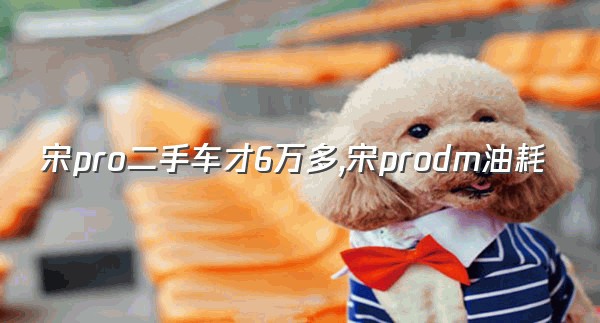 宋pro二手车才6万多,宋prodm油耗