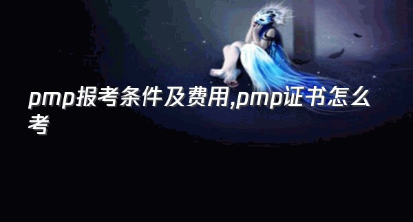 pmp报考条件及费用,pmp证书怎么考