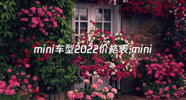 mini车型2022价格表,mini