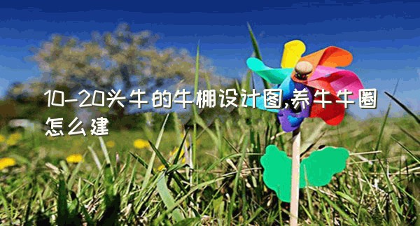 10-20头牛的牛棚设计图,养牛牛圈怎么建