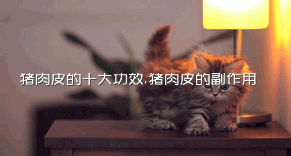 猪肉皮的十大功效,猪肉皮的副作用