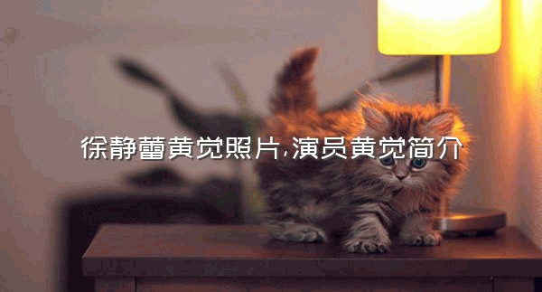 徐静蕾黄觉照片,演员黄觉简介