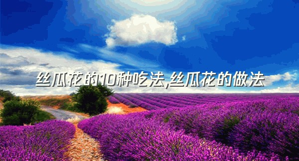 丝瓜花的10种吃法,丝瓜花的做法