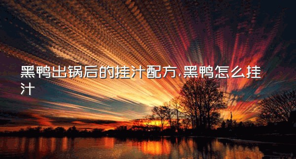 黑鸭出锅后的挂汁配方,黑鸭怎么挂汁