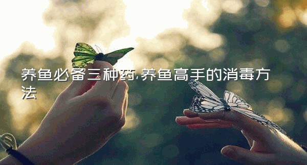 养鱼必备三种药,养鱼高手的消毒方法