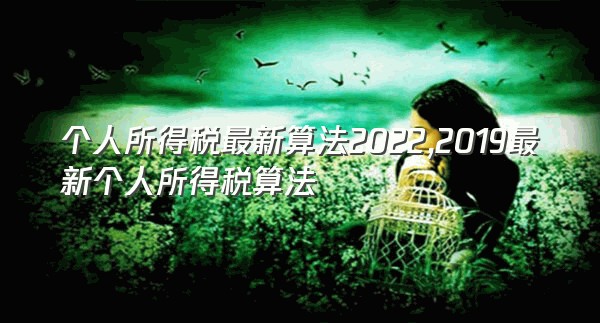 个人所得税最新算法2022,2019最新个人所得税算法