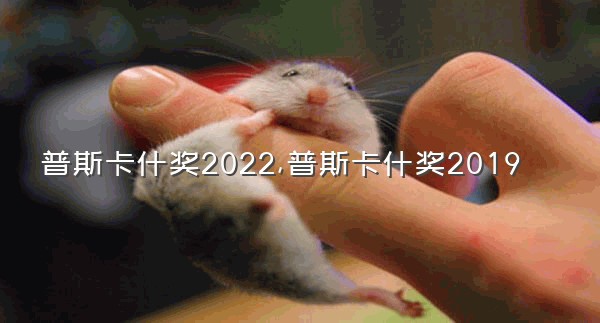 普斯卡什奖2022,普斯卡什奖2019