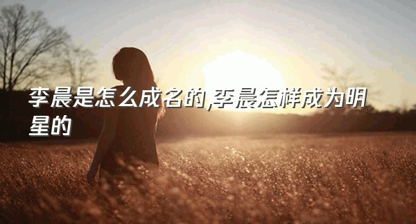 李晨是怎么成名的,李晨怎样成为明星的