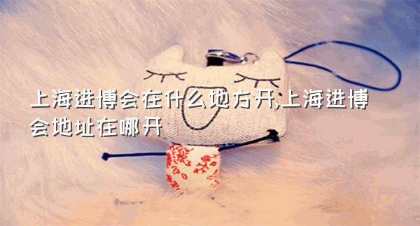 上海进博会在什么地方开,上海进博会地址在哪开