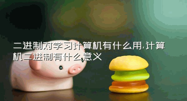 二进制对学习计算机有什么用,计算机二进制有什么意义