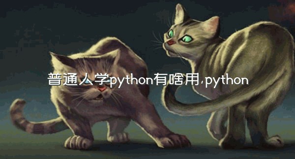 普通人学python有啥用,python