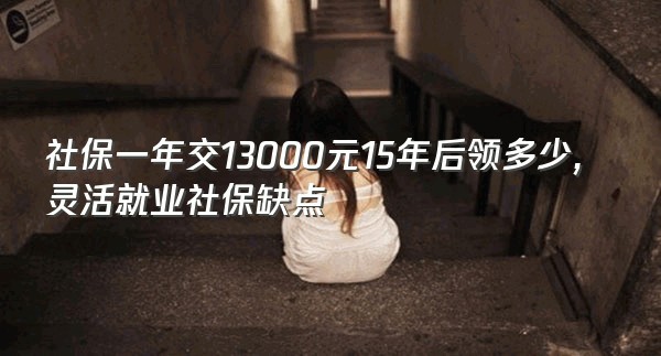 社保一年交13000元15年后领多少,灵活就业社保缺点