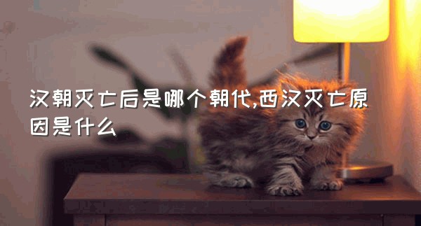 汉朝灭亡后是哪个朝代,西汉灭亡原因是什么