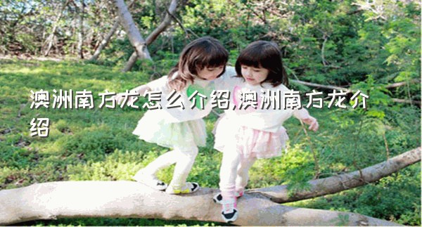 澳洲南方龙怎么介绍,澳洲南方龙介绍