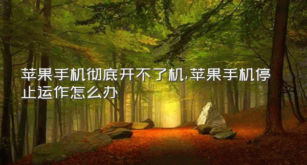 苹果手机彻底开不了机,苹果手机停止运作怎么办