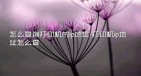 怎么查询打印机的ip地址,打印机ip地址怎么查