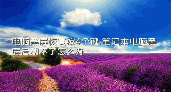 电脑黑屏恢复按4个键,笔记本电脑黑屏启动不了怎么办