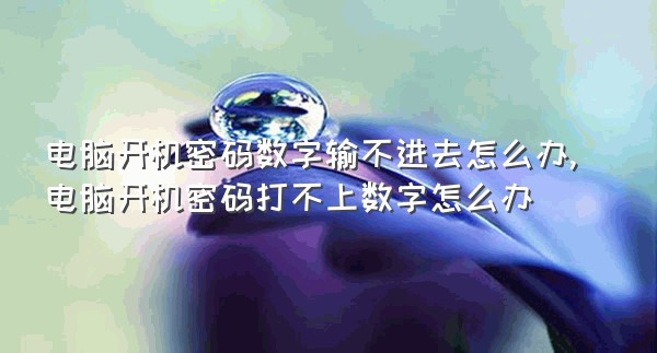 电脑开机密码数字输不进去怎么办,电脑开机密码打不上数字怎么办