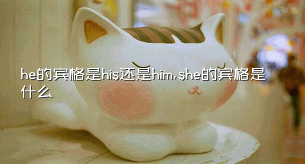 he的宾格是his还是him,she的宾格是什么