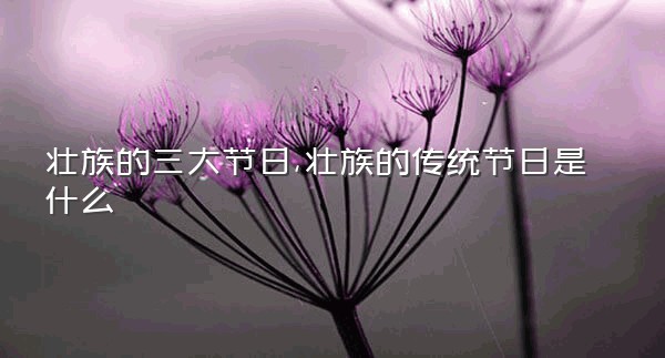 壮族的三大节日,壮族的传统节日是什么