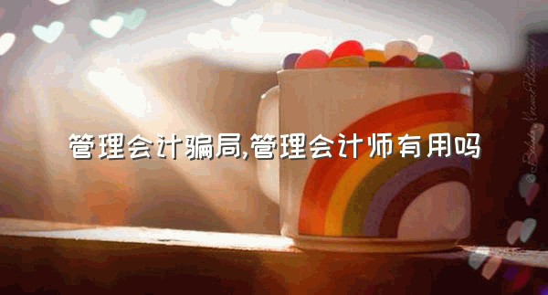 管理会计骗局,管理会计师有用吗