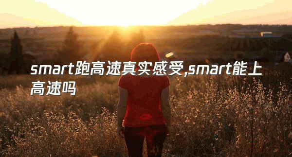 smart跑高速真实感受,smart能上高速吗