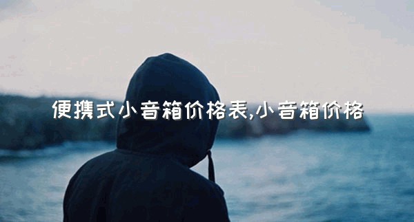 便携式小音箱价格表,小音箱价格