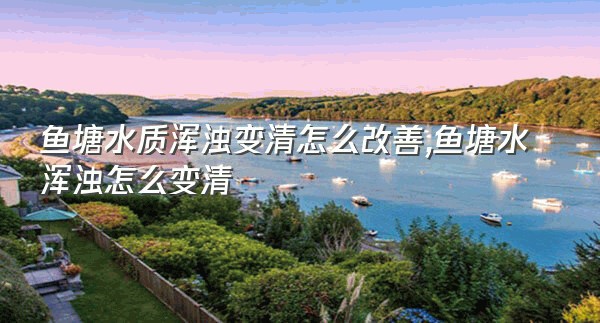 鱼塘水质浑浊变清怎么改善,鱼塘水浑浊怎么变清