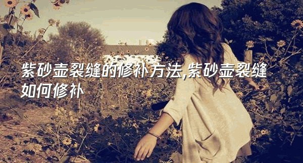 紫砂壶裂缝的修补方法,紫砂壶裂缝如何修补