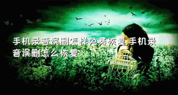 手机录音误删怎样免费恢复,手机录音误删怎么恢复