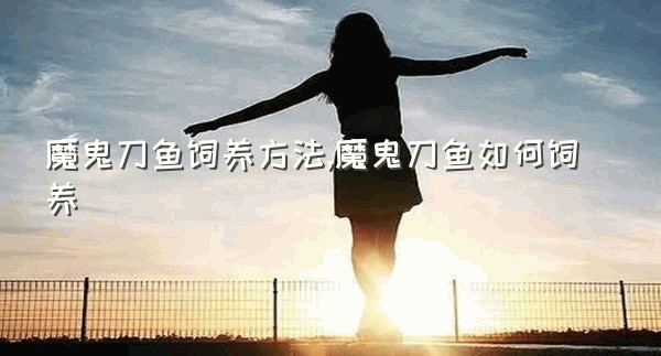 魔鬼刀鱼饲养方法,魔鬼刀鱼如何饲养