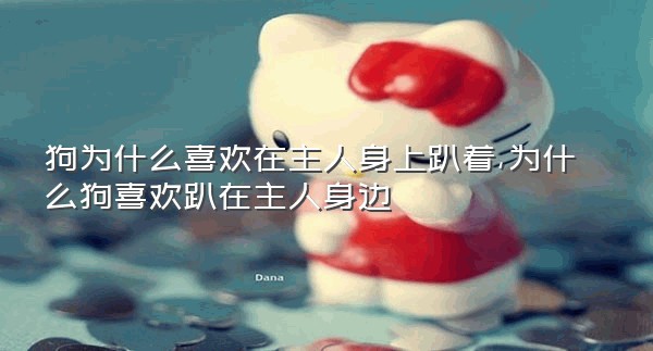 狗为什么喜欢在主人身上趴着,为什么狗喜欢趴在主人身边