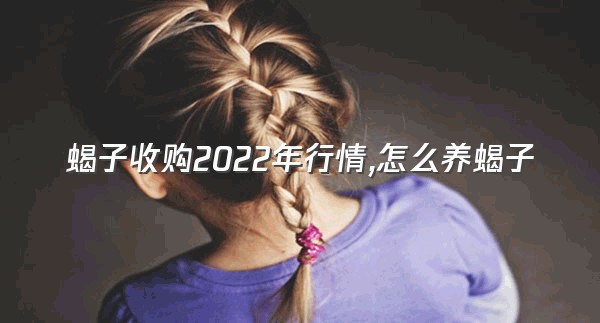 蝎子收购2022年行情,怎么养蝎子