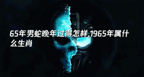 65年男蛇晚年过得怎样,1965年属什么生肖