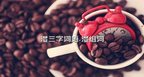 湿三字词语,湿组词