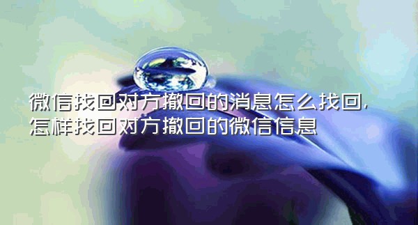 微信找回对方撤回的消息怎么找回,怎样找回对方撤回的微信信息