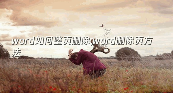 word如何整页删除,word删除页方法